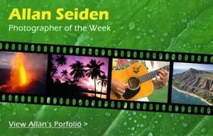 Allan Seiden Photographer Of The Week